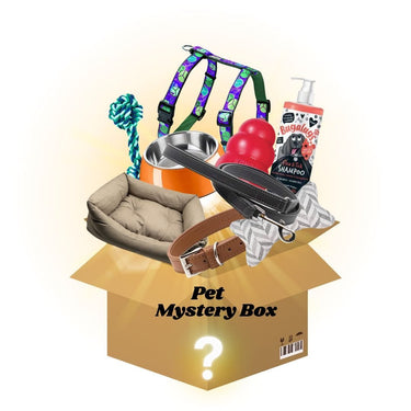 Dog Mystery Box - £500 of toys, collars, leads - Reseller Stock